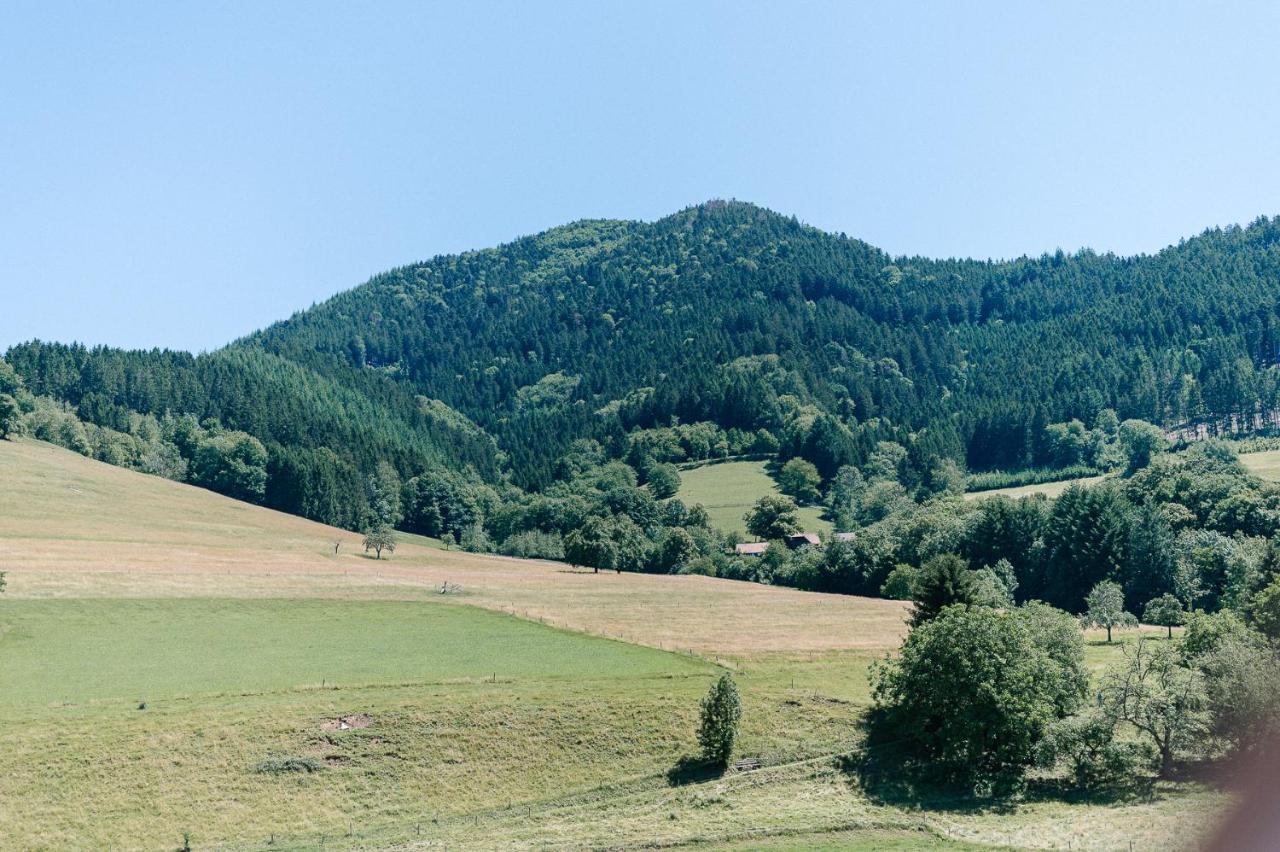 Moderne 2 Zi.-Fewo Blackforest Art Naehe Freiburg Зімонсвальд Екстер'єр фото